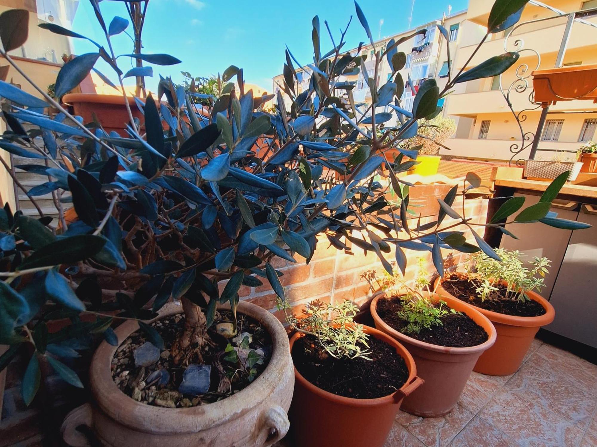 La Casina Lungomare Di Fabi Livorno Apartment Luaran gambar